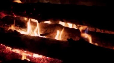 Bright flame of burning bonfire in dark on background of pine forest. Burning branches in the fire, tongues of flame. Hiking. Tourism. Travel. Lifestyle Go Everywhere