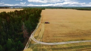 Buğday hasadının 4K hava görüntüsü. İnsansız hava aracı, altın buğday tarlasında buğday hasat ediyor.
