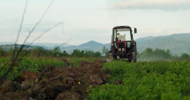 Conducente Del Trattore Finito Lavorare Dopo Una Dura Giornata Lavoro — Video Stock