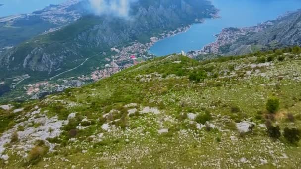 Vista Aérea Antiga Cidade Histórica Kotor Baía Kotor Montenegro Drone — Vídeo de Stock