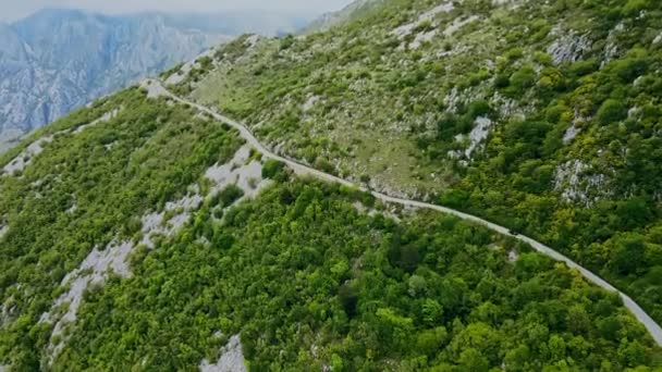 Coche Solitario Una Peligrosa Carretera Serpenteante Montaña Kotor Montenegro — Vídeo de stock