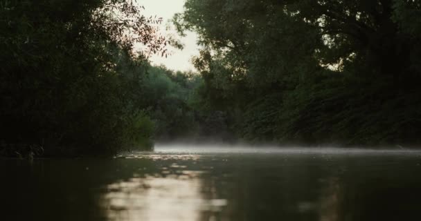 Dimma Bergsfloden Gyllene Solljus Stiger Rörlig Orange Dimma Vattenytan Skog — Stockvideo