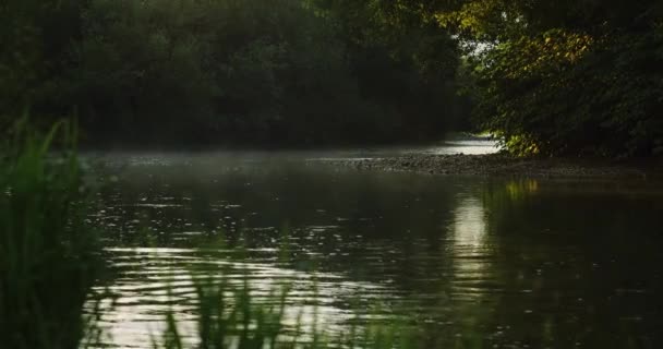 Dimma Bergsfloden Gyllene Solljus Stiger Rörlig Orange Dimma Vattenytan Skog — Stockvideo