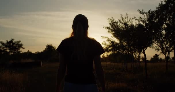 Romantik Kız Silueti Güneşi Kovalıyor Güneş Işınlarında Yürüyor — Stok video