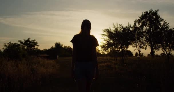 Chica Romántica Silueta Persiguiendo Sol Caminando Los Rayos Del Sol — Vídeo de stock