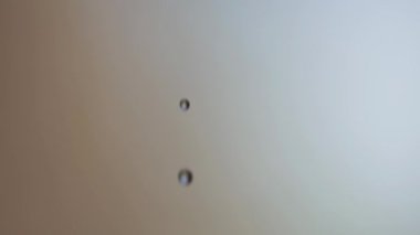 Paslı bahçe musluğundan damlayan su, süper makro, yavaş çekim