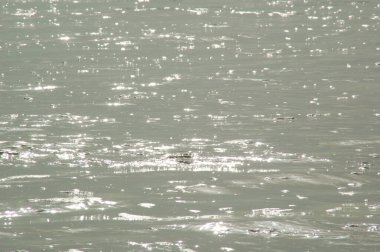 Sadece arka plan ya da duvar kağıdı olarak deniz yüzeyini sakinleştir.