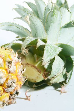 Olgunlaşmış ananas ve dilimler ve beyaz arka planda en üstte