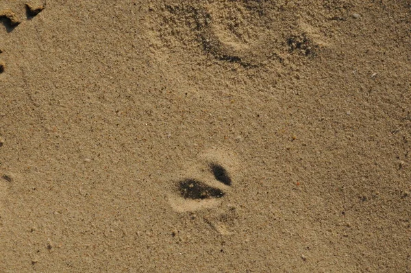 Die Oberfläche Des Meeres Sand Wellen Strand Als Hintergrund Oder — Stockfoto