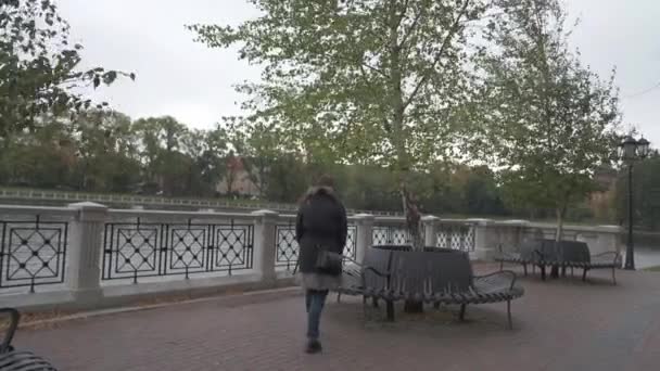Dívka se posadí na lavičku u rybníka — Stock video