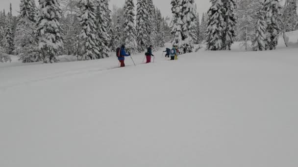 Hård vinterskidtur i avlägsen skog — Stockvideo