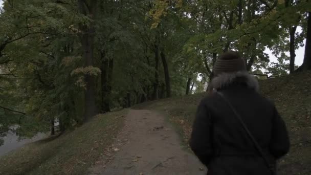 公園を歩く美しい女の子 — ストック動画