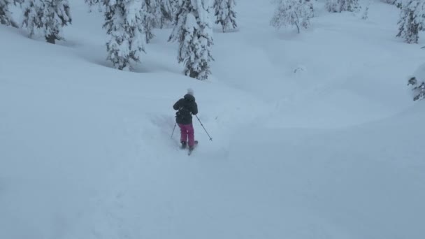 Menina esqui descendo a colina — Vídeo de Stock