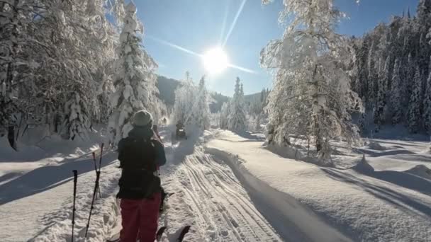 Um snowmobile passa um esquiador rapidamente — Vídeo de Stock