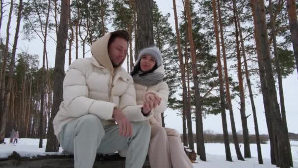 森の中で冬に休んでいる家族のカップル — ストック動画