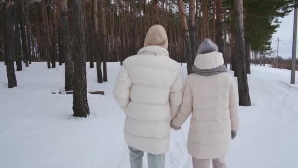 冬の森の中で二人で手をつないで歩く — ストック動画