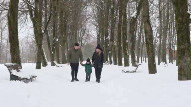 Internationale familie wandelen langs de steeg — Stockvideo