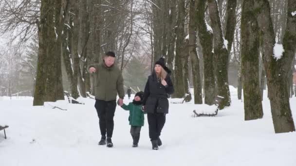 Passeio familiar silencioso ao longo dos becos de inverno — Vídeo de Stock