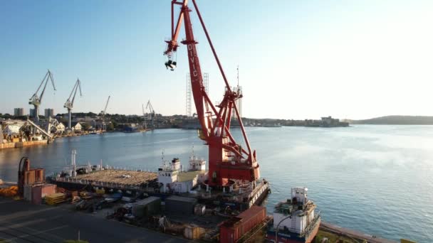 Große Hafenkräne im Hafen — Stockvideo