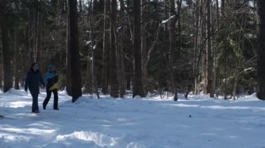 Kayak takımlı bir çift kış ormanında yürür.