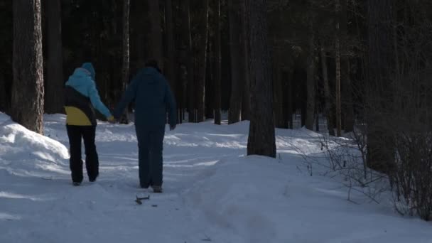 A szerelmesek mélyen a téli erdőbe mennek. — Stock videók