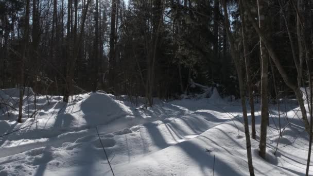Νεαρή γυναίκα περπατά απότομα στις πίστες του σκι — Αρχείο Βίντεο