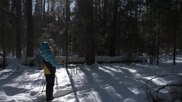 Divertente sciare nella foresta innevata — Video Stock