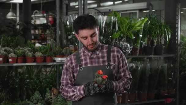 Mannelijke bloemist met cactus en kijken naar de camera — Stockvideo