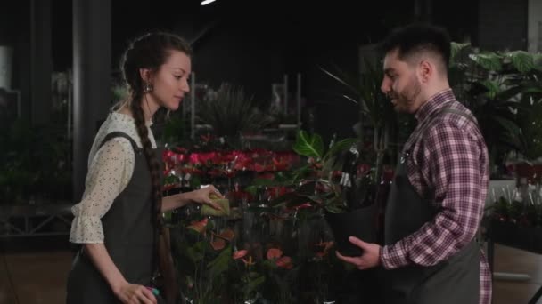 Dois floristas regando e lavando flores — Vídeo de Stock