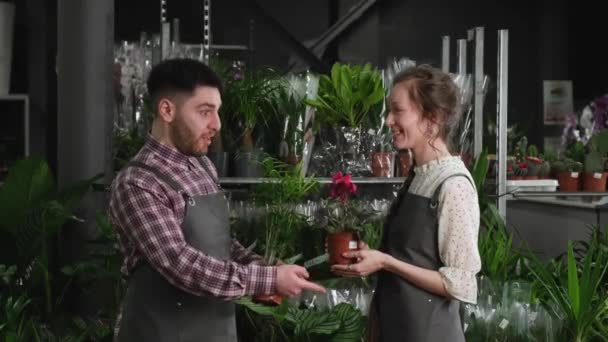 Doi florari vorbind într-un magazin de flori — Videoclip de stoc