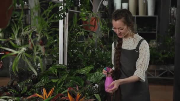 Mujer florista rociando flores de una botella de spray rosa — Vídeos de Stock