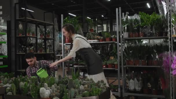 Работники цветочного магазина поливают растения — стоковое видео