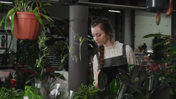 A virágárus állványon vizsgálja a növényeket — Stock videók