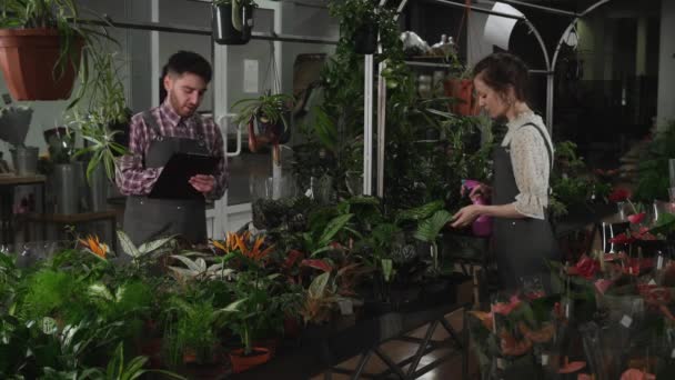 Blomsterhandlare gör en inventering av blommor i en växtaffär — Stockvideo