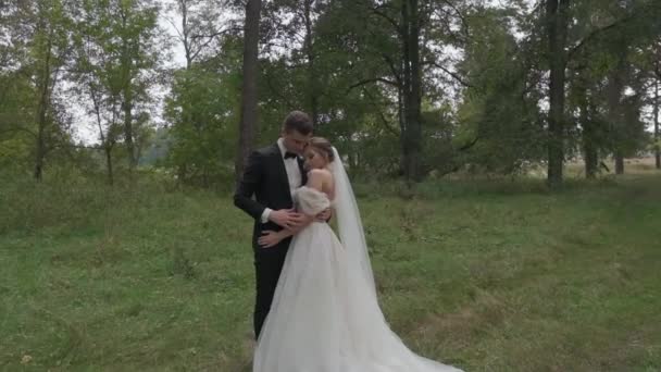 Жених и невеста обнимаются в лесу — стоковое видео