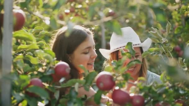 Женщина со своей дочерью-подростком собирает яблоки в саду — стоковое видео