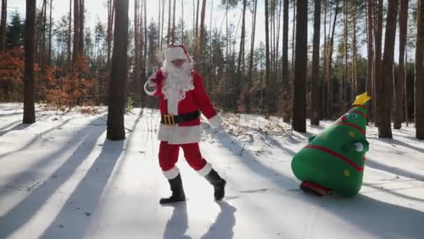 Kerstman trekt slee met kerstboom pop — Stockvideo