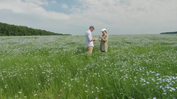 Фермеры работают с цифровыми планшетами в цветущем льняном поле — стоковое видео