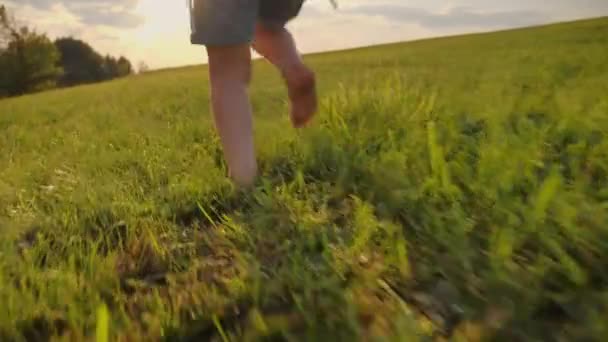 Baby feet running on green grass in the meadow in the park — Stock Video