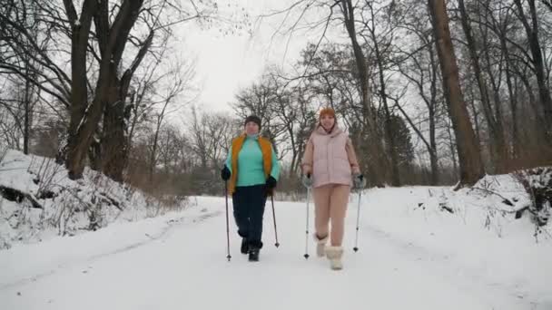 Gyakorold a skandináv sétát. A nők túráznak a parkban sétapálcákkal. — Stock videók