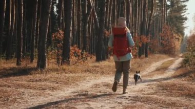 Sırt çantalı genç bir kadın köpekle çam ormanında seyahat ediyor.