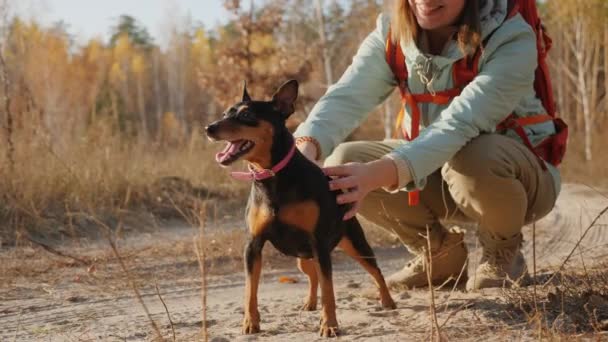 Mujer viajera acariciando a su perro mientras viajan juntos — Vídeo de stock
