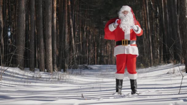 Alegre sonriente Santa Claus saluda con una mano agitada — Vídeo de stock