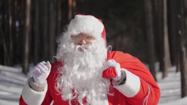 Santa Claus con un saco rojo bailando alegremente en el parque — Vídeos de Stock