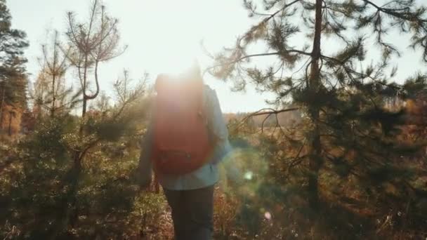 Kobieta z plecakiem wędrująca po przyrodzie w słoneczną jesienną pogodę — Wideo stockowe