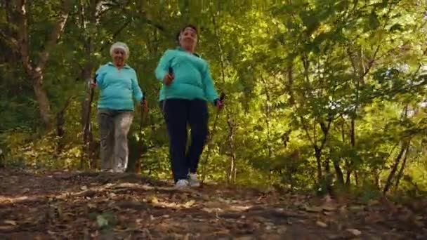 Nordic walking para mujeres mayores al aire libre — Vídeos de Stock