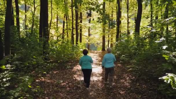 Marche nordique pour les femmes âgées dans la forêt — Video