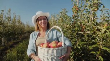 Bir kadın çiftçi elma bahçesinde elma hasadı taşıyan bir sepet taşıyor.