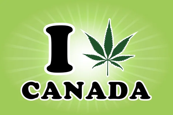 Kanada marihuana yaprağı vektör çizim