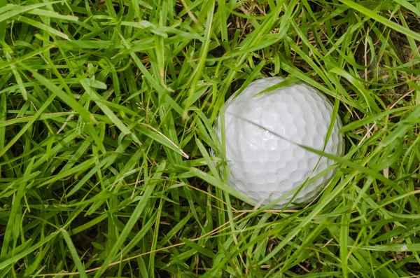 Golf Ball in the rough Stock Image